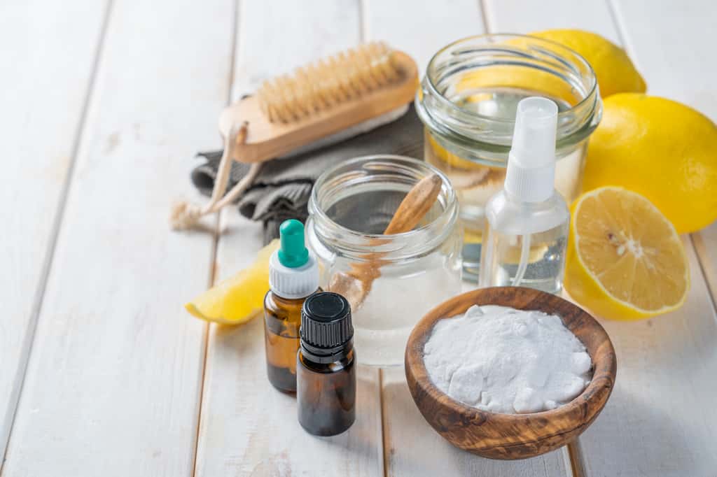 Quels sont les produits d'entretien naturels et incontournables à avoir — free download